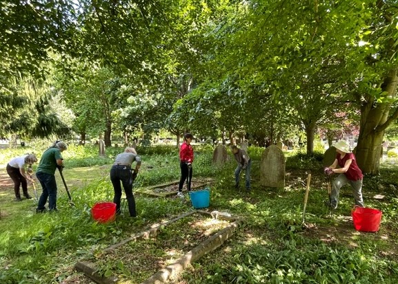 Members of the biodiversity committee have been hard at work in Section H.